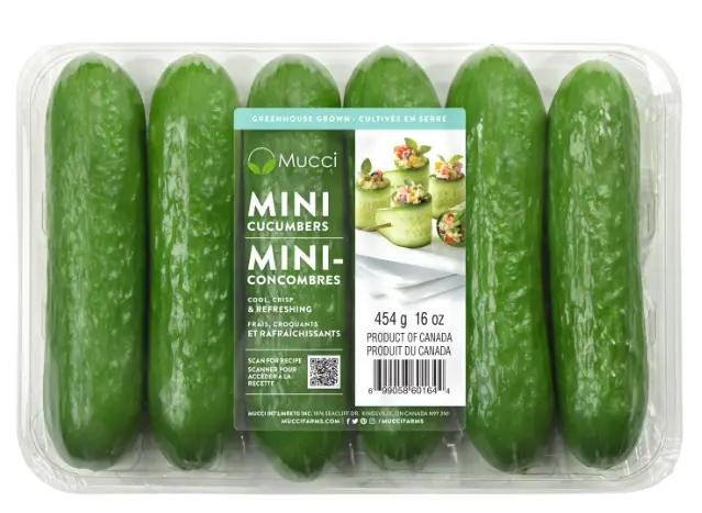 Cucumber