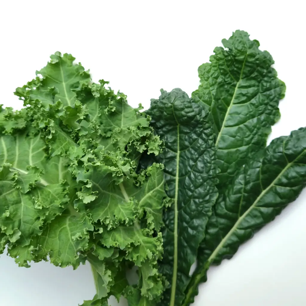 kale3.webp