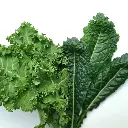 kale3.webp