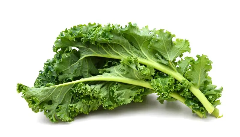 kale.webp