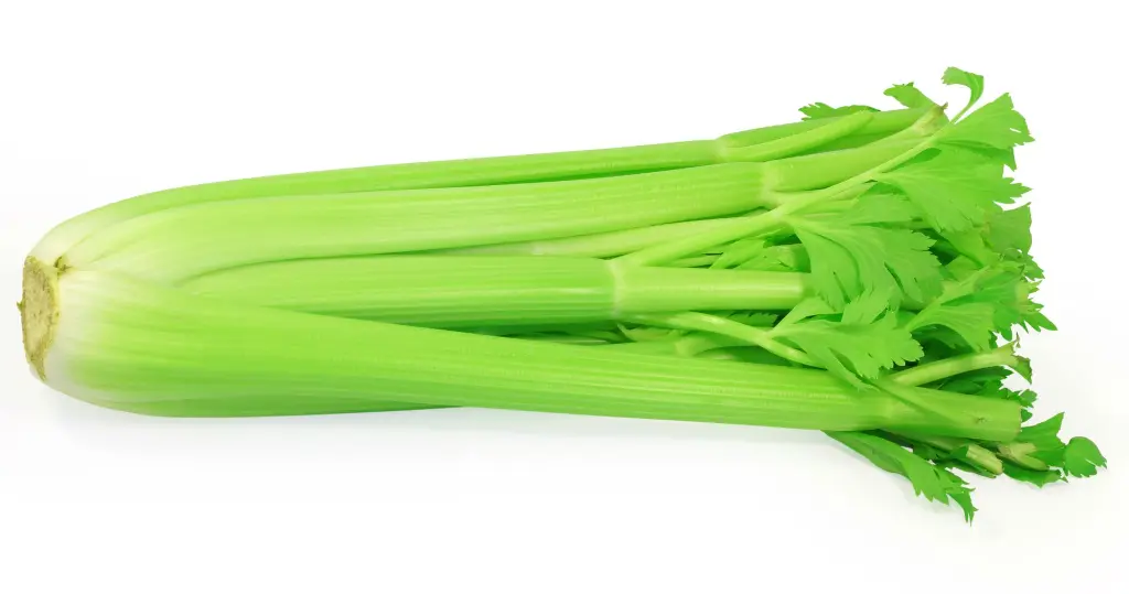 celery-natural-healing-food.webp