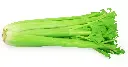 celery-natural-healing-food.webp