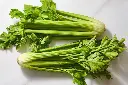 celery.webp