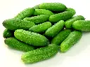 cucumbers.webp