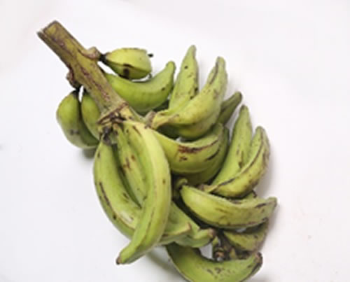 plantain.jpg