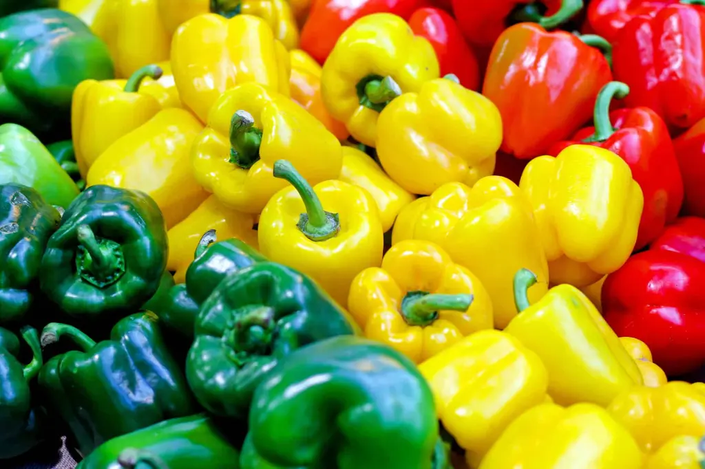 Bell-Pepper-Facts.webp