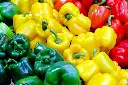 Bell-Pepper-Facts.webp