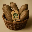 Yam (Tuber)