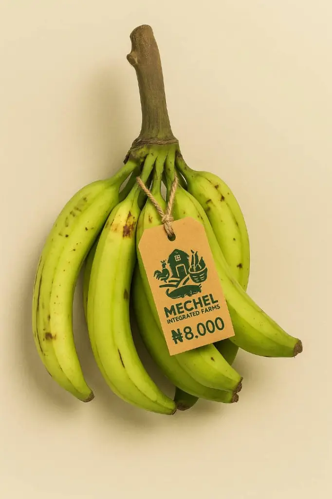 Plantain (Bunch)
