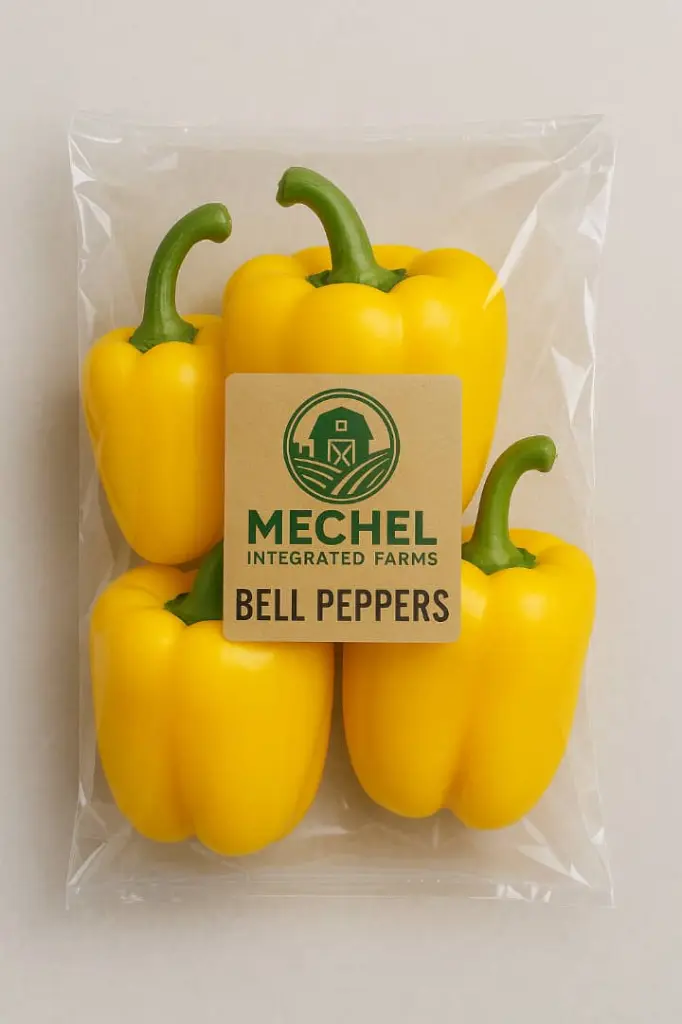Yellow Bell Pepper