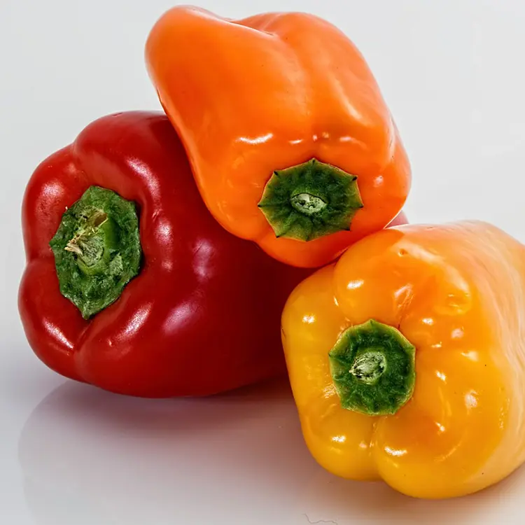 Yellow Bell Pepper