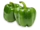 Green Pepper
