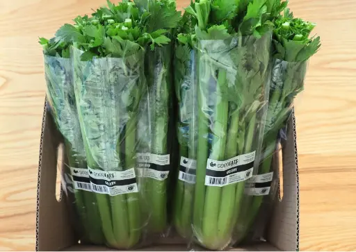 Celery 1 Kg