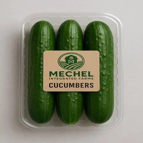Cucumber Mini