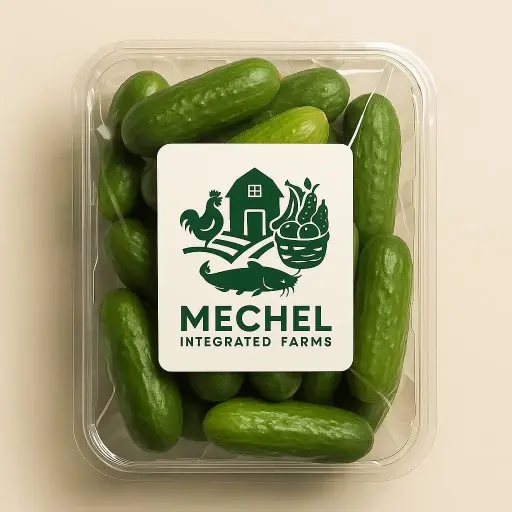 Cucumber