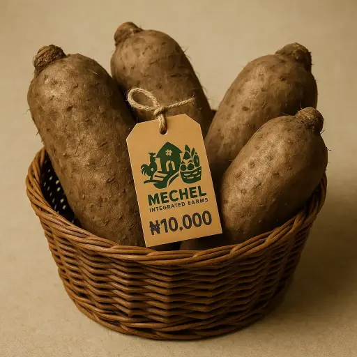 Yam (Tuber)