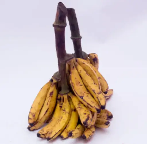 Plantain (Bunch)