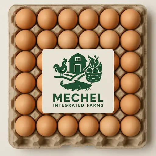 Egg Crate 30 pcs