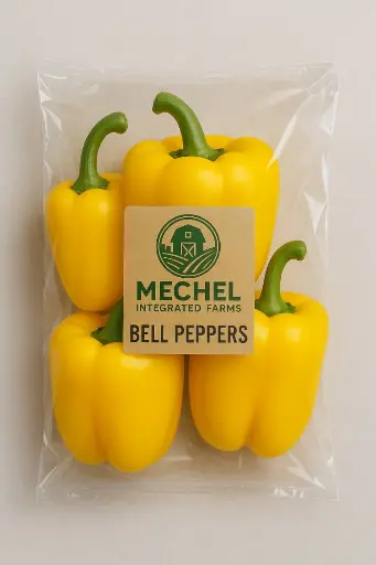 Yellow Bell Pepper