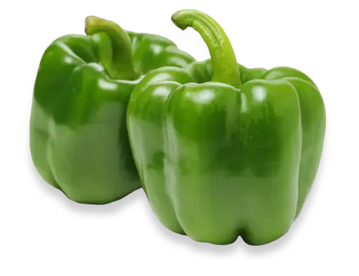 Green Pepper