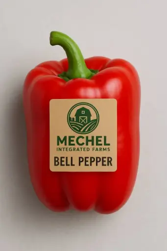 Red Bell Pepper
